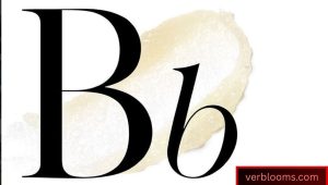 bb mean in text