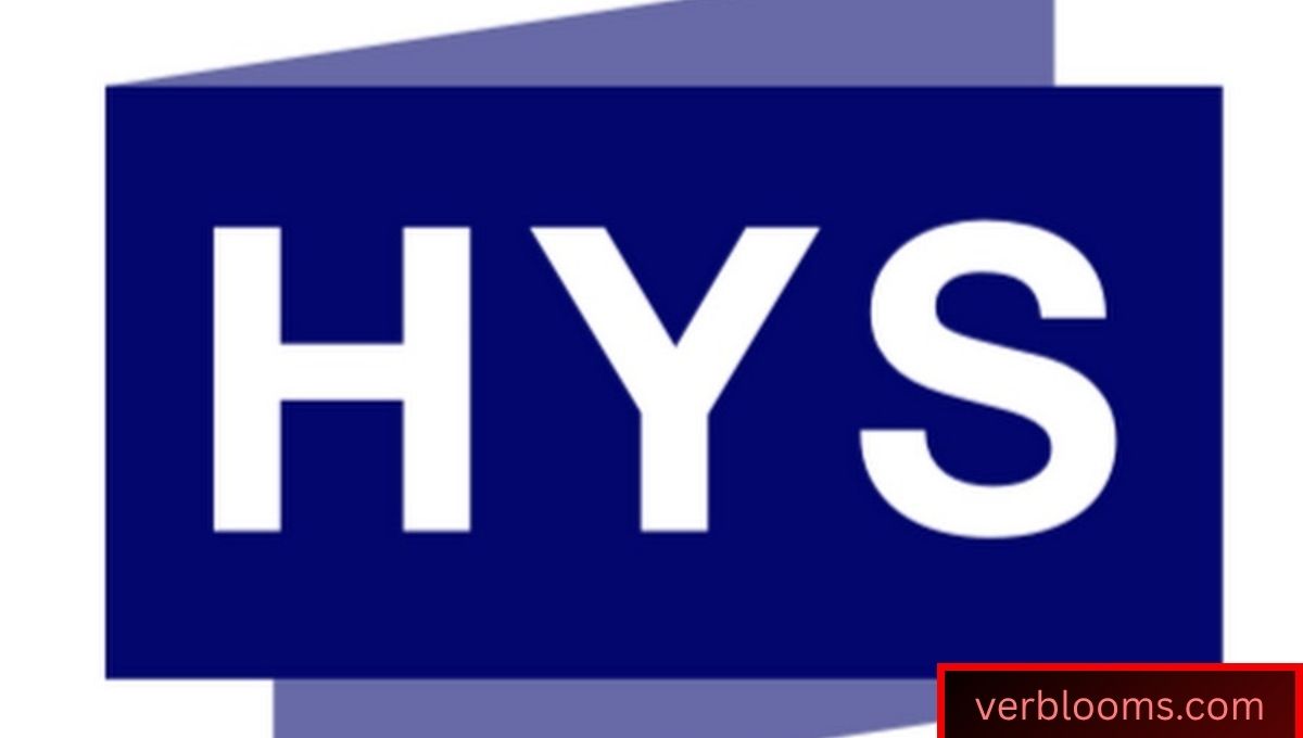 HYS Mean in Text