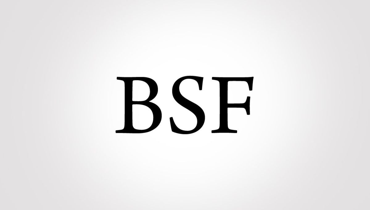 BSF Meaning