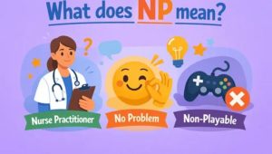 NP Meaning