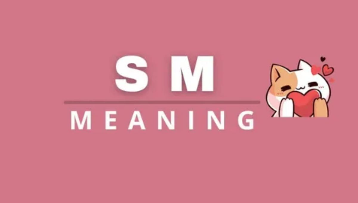 SM Meaning
